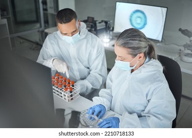 Covid Research, Blood Lab And Scientist Working On Science Data For Hospital With Employee Together At Work. Healthcare Technician On The Internet Typing Email About Medical Results With Face Mask