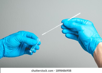 Covid Test Laboratory Procedure. Antigen Rapid, Antibody, PCR, PCR-LAMP Test In Laboratory Conditions. 