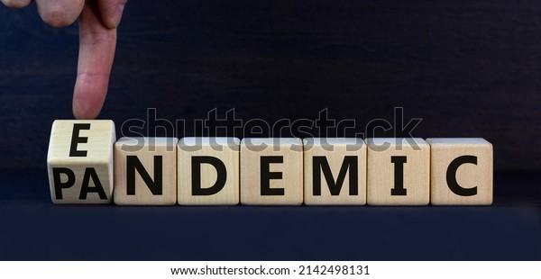 Covid-19 pandemic or endemic symbol. Turned\
wooden cubes and changed the concept word Pandemic to Endemic.\
Beautiful grey background copy space. Medical Covid-19 pandemic or\
endemic concept.