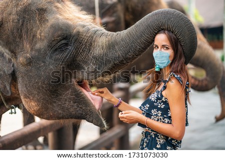 Covid-19. Portrait of a young woman in a medical mask feeding an elephant at the zoo. The concept of travel during a pandemic, virus protection