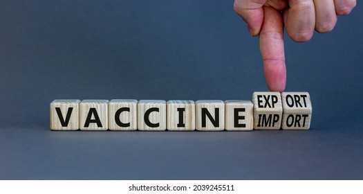 Covid-19 Vaccine Export Or Import Symbol. Doctor Turns Cubes, Changes Words Vaccine Import To Vaccine Export. Beautiful Grey Background, Copy Space. Medical, Covid-19 Vaccine Export Or Import Concept.