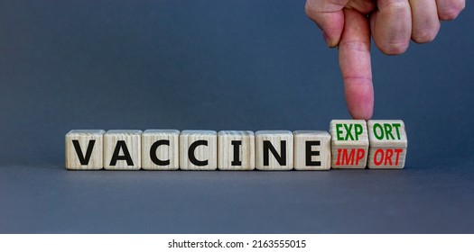 Covid-19 Vaccine Export Or Import Symbol. Doctor Turns Cubes, Changes Words Vaccine Import To Vaccine Export. Beautiful Grey Background, Copy Space. Medical, Covid-19 Vaccine Export Or Import Concept.