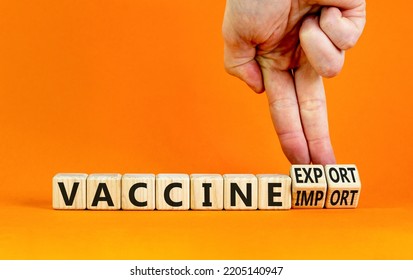 Covid-19 Vaccine Export Or Import Symbol. Doctor Turns Cubes, Changes Words Vaccine Import To Vaccine Export. Beautiful Orange Background, Copy Space. Medical, Covid-19 Vaccine Export Import Concept.