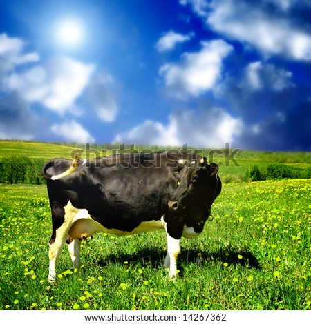 Similar – Cow rest Nature Animal Sky