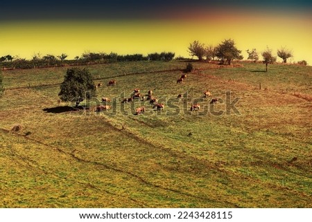 Similar – tomb old trees cows