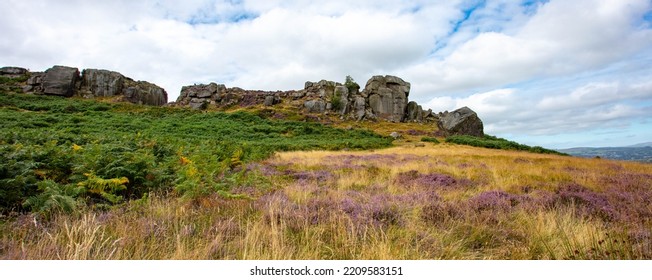 The Cow And Calf Ilkley Moor Yorkshire