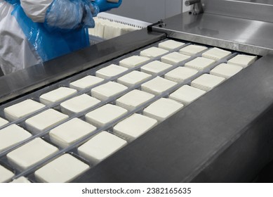 Cow cheese making, white feta, mozzarella, cheese production line. Forming machine at cheese and milk dairy food production in an industrial factory. Traditional European healthy food manufacturing. - Powered by Shutterstock