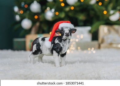 A Cow In A Christmas Hat Carries A Sled With Gifts On A Christmas Background.