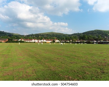 Cow corner