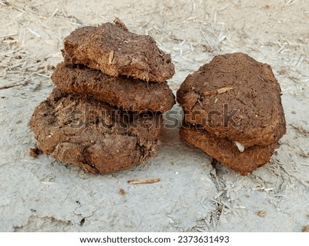Cow dry dung cakes for hawan kund and burning clay stove for made food. 
