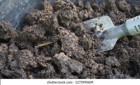 142 Muck worm Images, Stock Photos & Vectors | Shutterstock