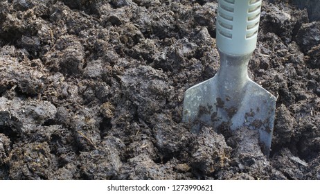 142 Muck worm Images, Stock Photos & Vectors | Shutterstock