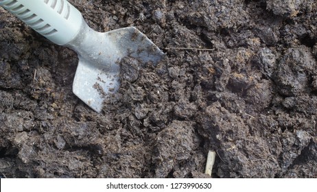 Cow Dung Earth Worm Bedding Cow Stock Photo 1273990630 | Shutterstock