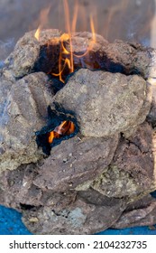 Cow dung pellets used Indian cuisine for cooking. Dry cow dung for a fire in Pushkar, Rajasthan, India. Close up