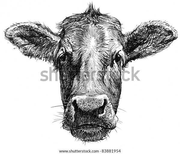 Cow Face Stock Photo (Edit Now) 83881954