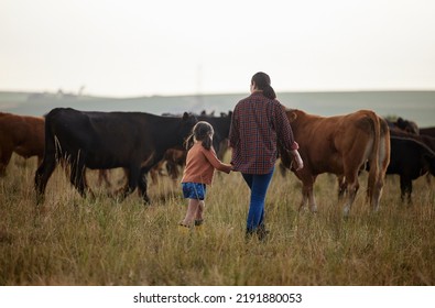 Cow farmer, mother and girl on farm, agriculture nature or cattle sustainability countryside field. Family bonding and working on healthy environment for cattle in meat, beef or food industry - Powered by Shutterstock