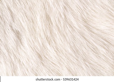 Cow Fur Background