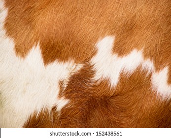 Cow Fur Background (9)