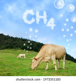 Kuhweiden auf Weide mit CH4-Text aus Wolken am Hintergrund. Das Konzept der Methanemissionen von Nutztieren.