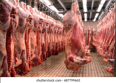Cow meat in a slaughter house
