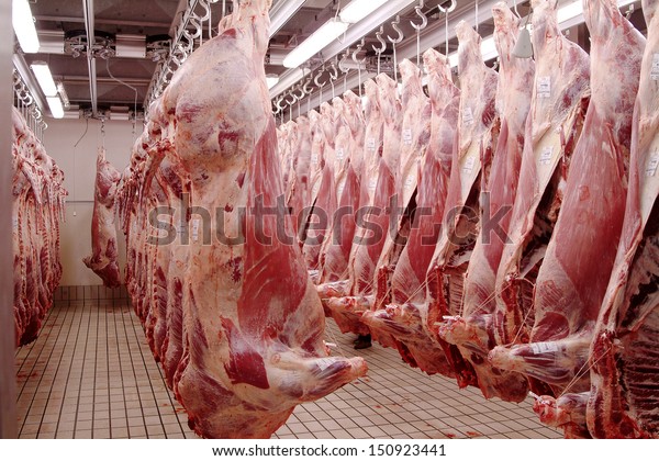 Cow meat in a slaughter\
house