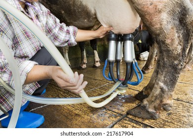 10,412 Technology Dairy Industry Images, Stock Photos & Vectors 