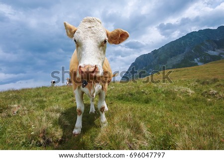 Similar – und du? Berge u. Gebirge