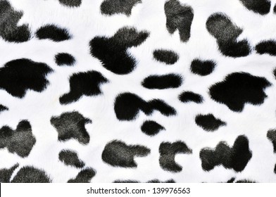 cow pattern texture or background