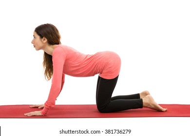 Young Gymnast Exercising On White Stock Photo (Edit Now) 139225907