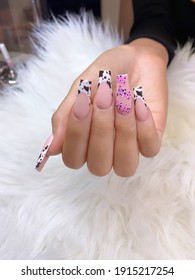 Cow Print Nail Art Design On Beautiful Young Lady Hand