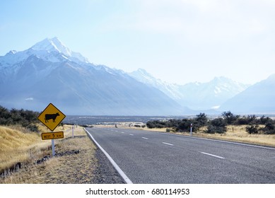 Cow road sign in empty road in New Zealand with beautiful mountain renge background           