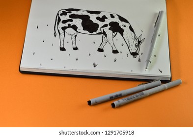 Cow Scetch In Album, Notebook, Liner Drawing, Illustrator Profession Concept, Design On Paper With Black Pens