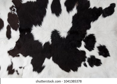 cow skin background