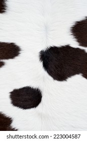 Cow Skin Texture