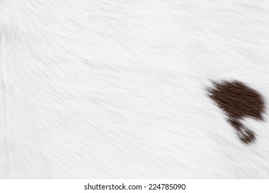 Cow Skin Texture