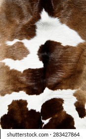 Cow Skin Texture