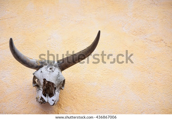 Cow Skull Decoration Mexican House Stock Photo Edit Now 436867006