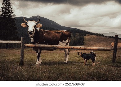 A cow stands patiently while a lively dog seems eager to play. The backdrop of hills and forests completes this charming rural scene. - Powered by Shutterstock