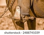 A cowboy boot with spurs, in a stirrup on a horse.