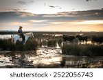 Cowboy carrying a long cattle prod near a herd of bulls, Camargue, France