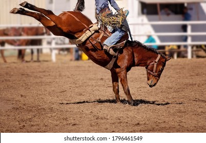 Cowboy competing in saddle bronc event at a country rodeo