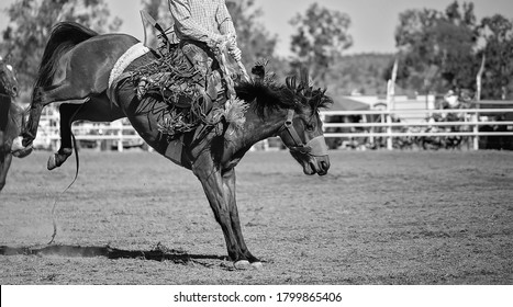 Cowboy competing in saddle bronc event at a country rodeo