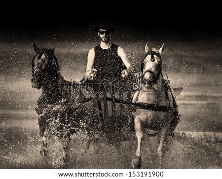 Cowboy drives a carriage for two horses