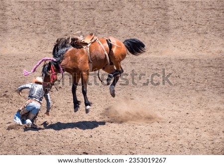 A cowboy has been bucked off a bucking bronco is in front of the horse. He is at a rodeo in an dirt arena. The horse has 4 legs off the ground. There is a red metal gate behind. 