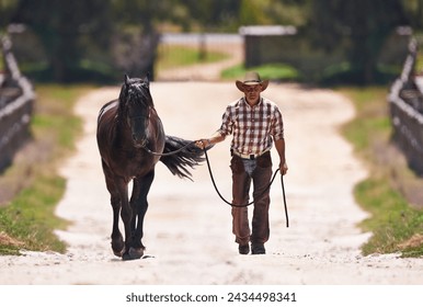 Cowboy, leading or horse by reins on farm for walk or colt training on western ranch in country. Strong, stallion or healthy animal of american quarter thoroughbred, outdoor and exercise for bonding - Powered by Shutterstock