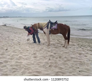 Cowboy Man The Ridder Is Collecting Rent Horse Feces To Clear Dirty On The Fine Sand At The Shore , Huahin Prachuap Khiri Khan, Thailand . June 26,2018