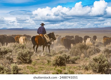   A cowboy on his horse moving cattle to an adjacent desert pasture on the ZX Ranch near Silver Lake.