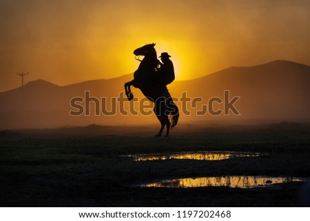 Similar – sunset with Two horses in a meadow