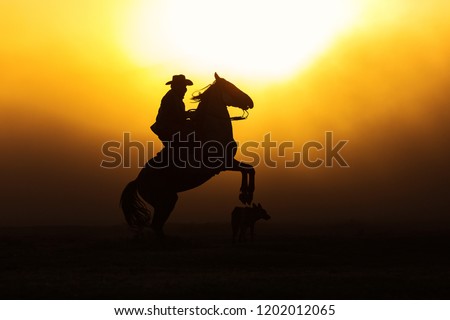 sunset with Two horses in a meadow