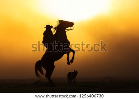 Similar – sunset with Two horses in a meadow